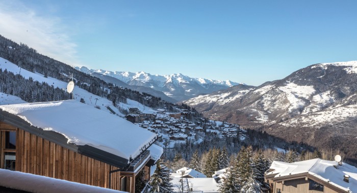 Chalet Caribou, Courchevel 1650 ski chalet, image 6